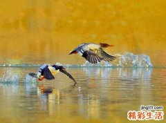 梦见被人追有什么预兆，女人梦见被追到处躲藏