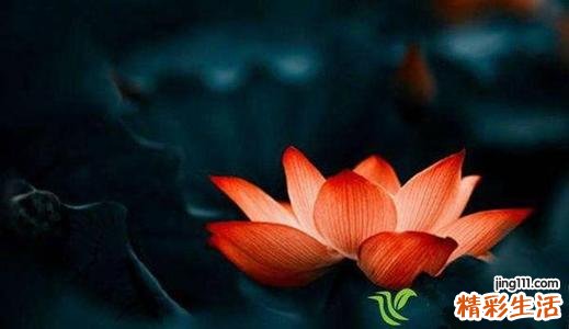 怎么算骨重量几两几钱 称骨几斤几两算命法