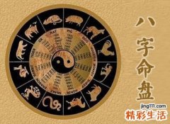 乙木见丙火一生富贵是什么意思 乙木生丙火的意象