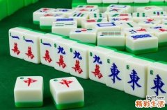 属蛇的今天打麻将运气如何 属蛇坐什么方位才会赢钱