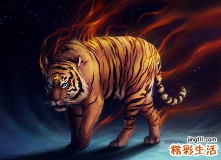梦见被老虎追是什么意思，做梦梦到被老虎追赶但脱险