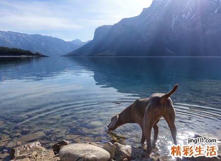 梦见发洪水是什么意思，做梦梦到发洪水逃生成功