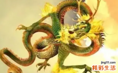 属龙的今天打麻将运气如何 生肖龙打麻将的最佳座位