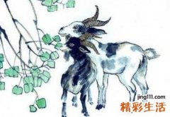 2022年属羊人8月份运势 2022年8月出生属羊人如何提升偏财运