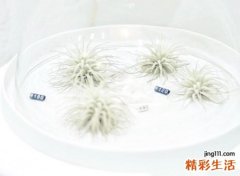 郁闷网名，最新好听的郁闷昵称