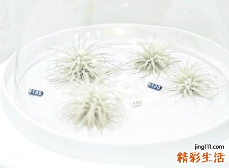 郁闷网名，最新好听的郁闷昵称