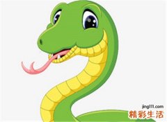 梦见被蛇追有什么预兆，做梦梦到被蛇追但是没咬