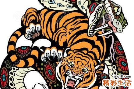 蛇和老虎属相合不合 属虎的人会克死属蛇的人吗