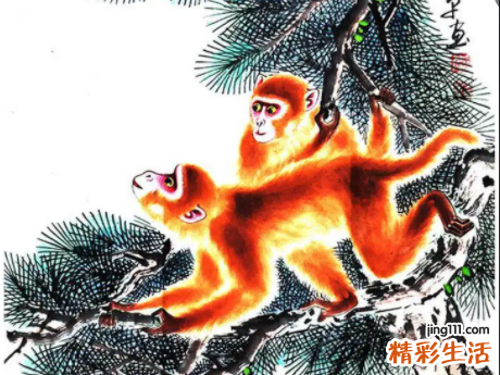 92年的猴30以后开始顺风顺水 92年的猴今年下半年运势如何