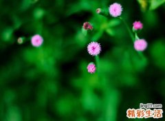 最好的网名，最新好听的昵称大全