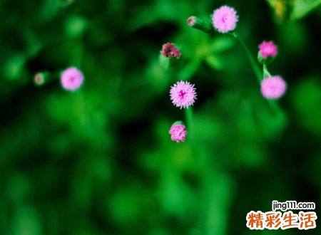 最好的网名，最新好听的昵称大全