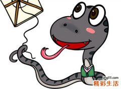 梦见好多蛇是什么意思，女人梦见满地都是蛇