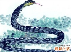 梦见被蛇咬是什么意思，做梦梦到自己被蛇咬了手