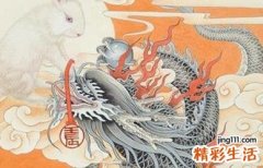 兔宝宝好还是龙宝宝好 纠结生兔宝宝还是龙宝宝