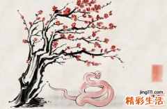2023年属蛇结婚好不好 2023年属蛇感情婚姻怎么样