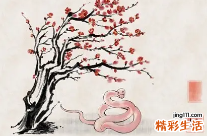 2023年属蛇结婚好不好 2023年属蛇感情婚姻怎么样