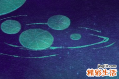 未属什么五行 未属什么五行阴阳