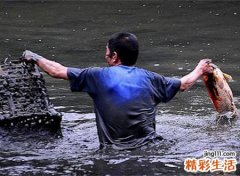 梦见在河里抓鱼好不好，做梦梦到抓鱼被鱼刺扎手