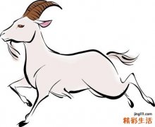 2023年属羊结婚好不好 2023年属羊人和属羊的结婚怎么样