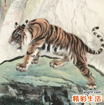 老鼠和老虎合不合 老鼠和老虎属相配吗