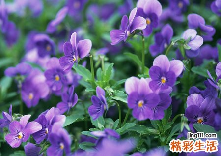 梦见很多死人好吗，做梦梦到一大堆死人