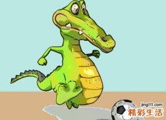 孕妇梦见鳄鱼预示什么，孕妇梦见水里很多鳄鱼