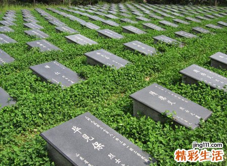 梦见很多坟墓是什么意思，女人梦见坟墓有预兆