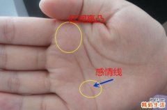 感情线末端分三叉寓意 感情线有很多分叉小须须分析