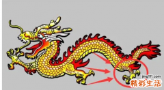七六年属什么今年多大 76年出生属龙人2022年运势如何