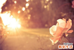 今日财运测试紫薇科技 紫薇免费测算今日运势