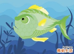 梦见很多死鱼有什么寓意，做梦梦到水里有死鱼有活鱼