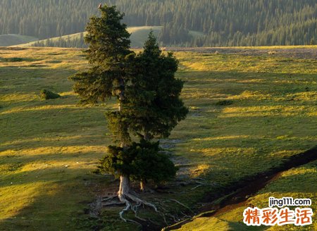 孕妇梦见血有什么预兆,孕妇梦到血是男孩女孩
