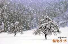 梦见雨夹雪是什么意思，孕妇梦见雨夹雪