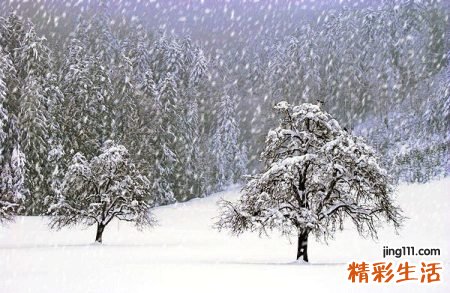 梦见雨夹雪是什么意思，孕妇梦见雨夹雪