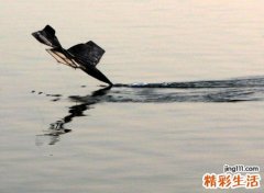 梦见坠机好不好，做梦梦见目睹飞机坠毁