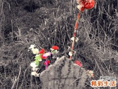 梦见很多坟好不好，做梦梦到一片坟地预兆什么