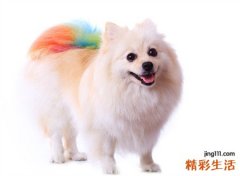 梦见狗咬脚好不好，做梦梦到狗咬脚不松口