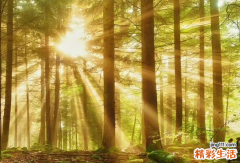 十年比肩大运 身强走10年比肩大运