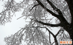 十年大运遇偏印的含义 十年大运偏印预示什么