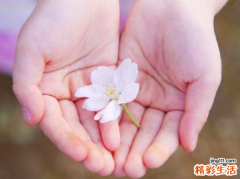 最准男人脸上的痣图解 男痣的位置与命运图解法