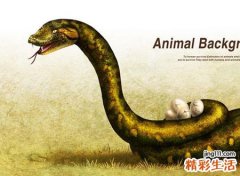 梦见很多蛇缠身好不好，做梦梦到蛇缠身动弹不得