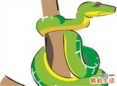 梦见很多的蛇好不好，做梦梦到一路上不停遇到蛇