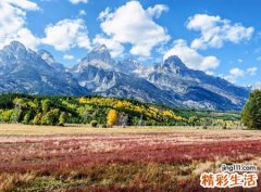 梦见掉牙出血是什么意思，女人梦见自己掉牙流血