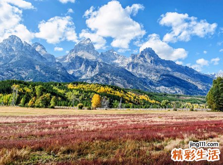 梦见掉牙出血是什么意思，女人梦见自己掉牙流血