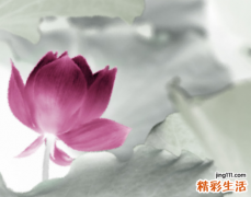 敢在鬼月出生的人不是一般人 鬼月出生的人有什么特点