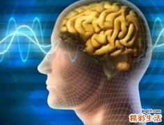 智商高的人的眼睛特征 高智商的人有哪些特征