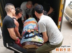 梦见自己搬家好不好，已婚女人梦见搬家