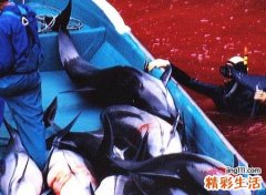 梦见亲人死而复生好吗，做梦梦到家里长辈死而复生
