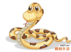 梦见很多蛇缠身有什么寓意，做梦梦到很多蛇在身上缠满