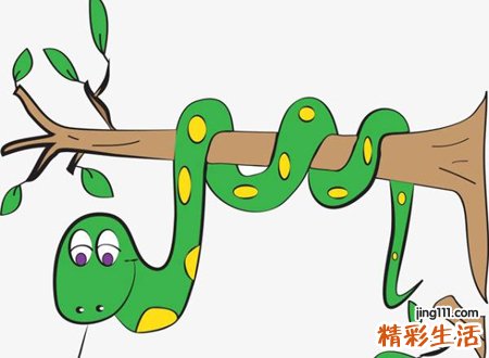 孕妇梦见很多蛇预示什么，孕妇梦见路上好多蛇